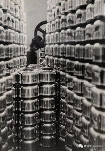 光影不朽 一位湖南攝影家的生命延續(xù)