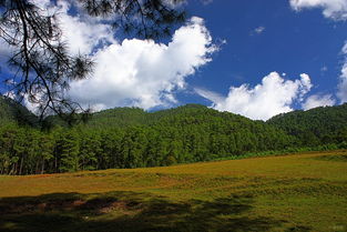 數(shù)碼設(shè)計(jì)與攝影社區(qū)的交融 開(kāi)啟視覺(jué)創(chuàng)作新紀(jì)元